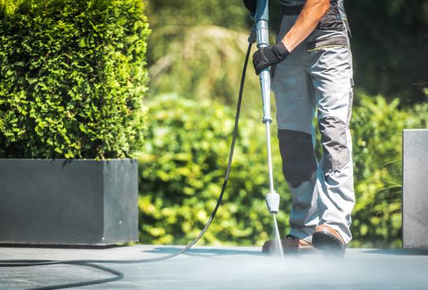 Best Gutter Cleaning  in St Michaels, MD